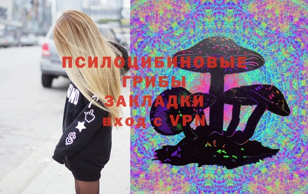 хмурый Алексеевка
